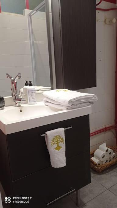 Studio 18 Residence Du Parc ชาเตล-กียง ภายนอก รูปภาพ